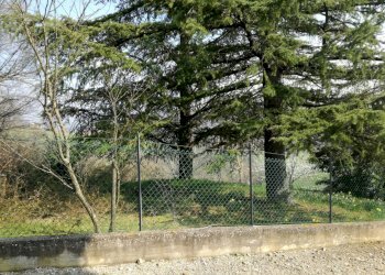 Independent house Canossa - photo 6