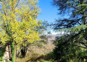 Independent house Canossa - photo 3