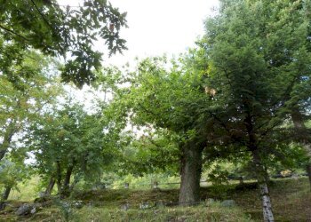 Apartment Ventasso - photo 9