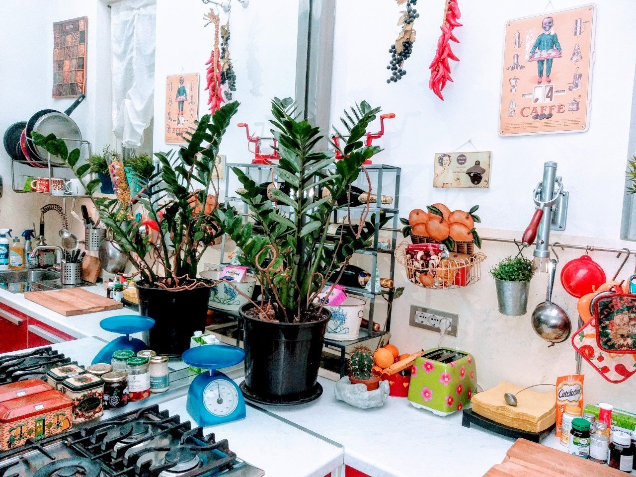 Apartment Parma - photo 2