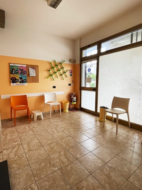 Negozio Ferrara - foto 1