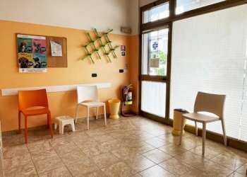 Negozio Ferrara - foto 1