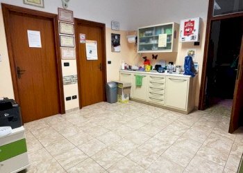 Negozio Ferrara - foto 4