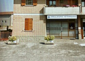 Negozio Ferrara - foto 7