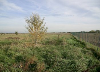 Terreno commerciale Ferrara - foto 10