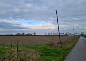 Capannone Ferrara - foto 1