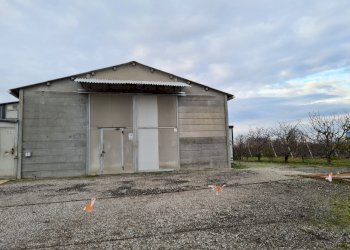 Capannone Ferrara - foto 2