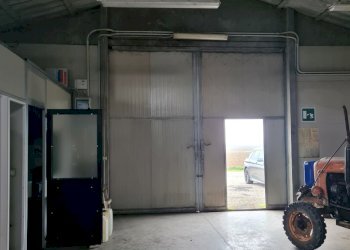 Capannone Ferrara - foto 3