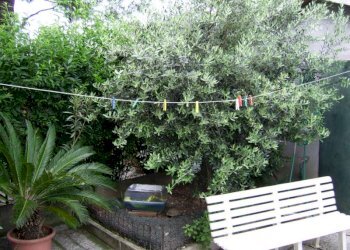 Appartamento Imola - foto 10