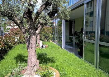 Villa Quadrifamiliare Imola - foto 4