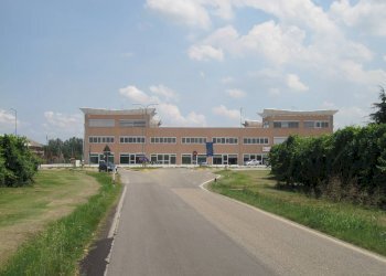 Negozio Imola - foto 3