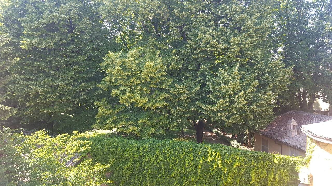 Mansarda Parma - foto 3