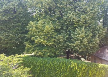 Mansarda Parma - foto 3