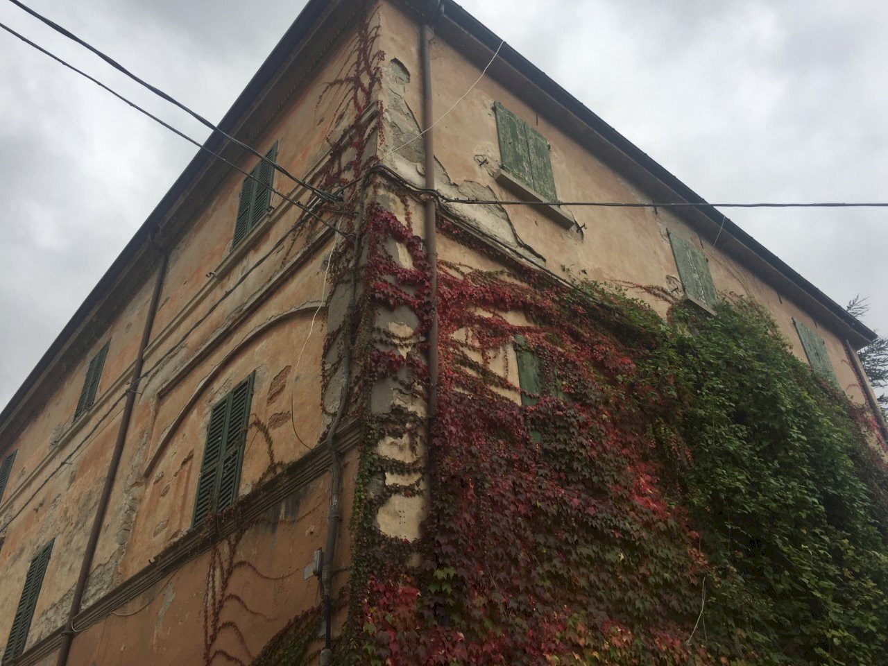 Stabile - Palazzo Dovadola - foto 1