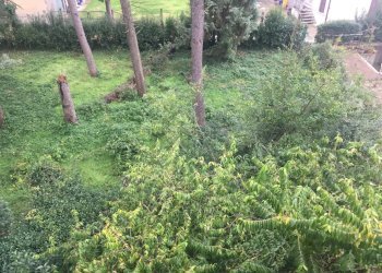 Stabile - Palazzo Dovadola - foto 5