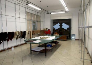 Negozio Canaro - foto 6