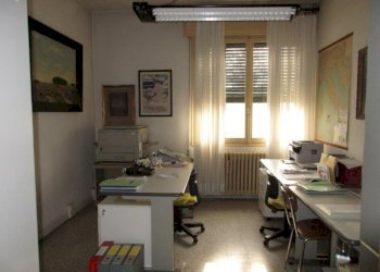 Negozio Canaro - foto 12