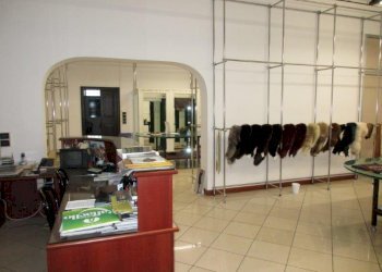 Negozio Canaro - foto 13