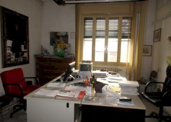 Negozio Canaro - foto 14