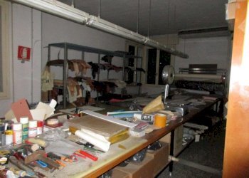 Negozio Canaro - foto 15