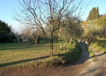 DSC_0008.JPG - Villa Via Vicinale dell'Acquedotto 102, Capannori - foto 14