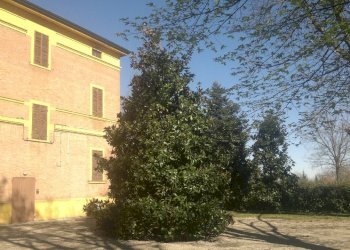 Villa Unifamiliare Formigine - foto 8