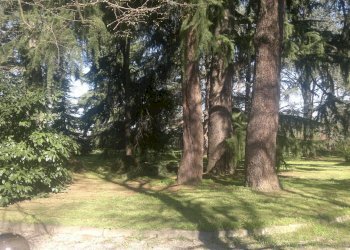 Villa Unifamiliare Formigine - foto 35