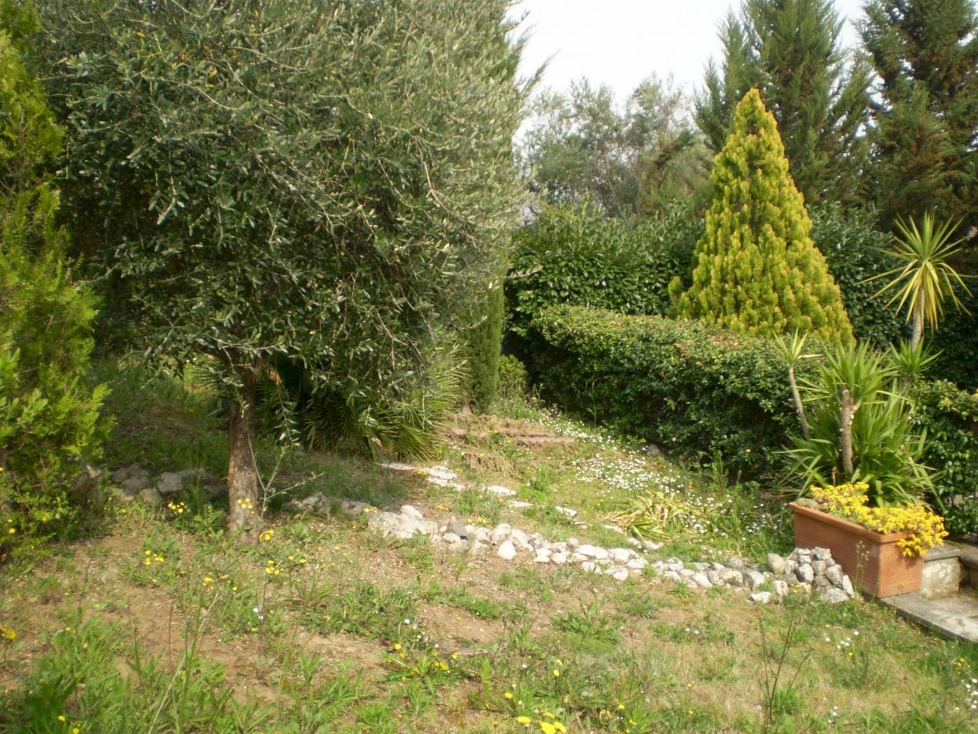 Villa via Geniti, Calvi - foto 3