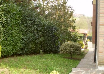 Villa via Geniti, Calvi - foto 6