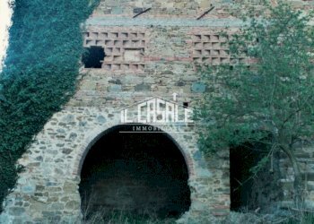 9RUDEREPIMAGGIORE.jpg - Rustico Vicchio - foto 9