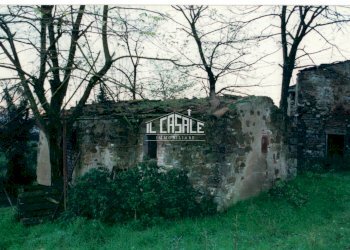 10RUDEREPIMAGGIORE.jpg - Rustico Vicchio - foto 10