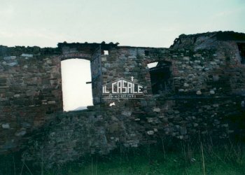 15RUDEREPIMAGGIORE.jpg - Rustico Vicchio - foto 15