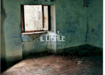 21RUDEREPIMAGGIORE.jpg - Rustico Vicchio - foto 21