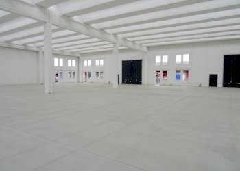 capannone - Capannone SPEXSS671, Seriate - foto 10