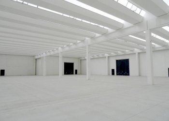 capannone - Capannone SPEXSS671, Seriate - foto 12