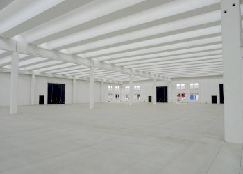 capannone - Capannone SPEXSS671, Seriate - foto 18