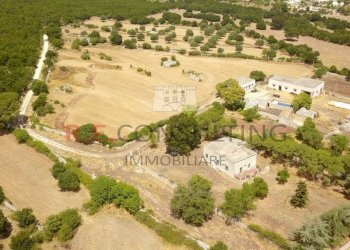 drone 08.jpg - Casale Masseria Corallo snc, Martina Franca - foto 1