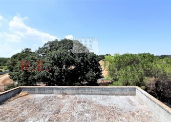 20210724_133457.jpg - Casale Masseria Corallo snc, Martina Franca - foto 14