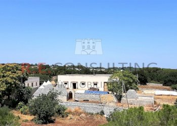 20210724_133550.jpg - Casale Masseria Corallo snc, Martina Franca - foto 15