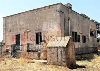 20210724_135312.jpg - Casale Masseria Corallo snc, Martina Franca - foto 17