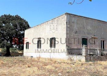 20210724_135358.jpg - Casale Masseria Corallo snc, Martina Franca - foto 18