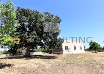 20210724_140258.jpg - Casale Masseria Corallo snc, Martina Franca - foto 19