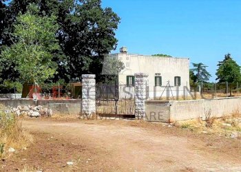 Foto 004.jpg - Casale Masseria Corallo snc, Martina Franca - foto 20