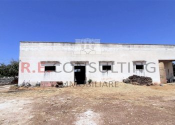 20210724_140701.jpg - Casale Masseria Corallo snc, Martina Franca - foto 22