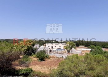 Foto 001.jpg - Casale Masseria Corallo snc, Martina Franca - foto 26