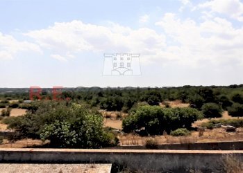 Foto 002.jpg - Casale Masseria Corallo snc, Martina Franca - foto 27