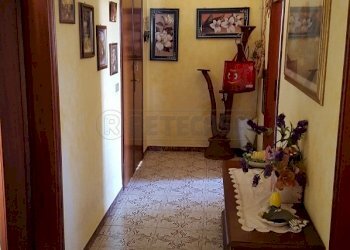 20150910_174600.jpg - Appartamento V. Prov. Francesca s/n, Santa Croce sull'Arno - foto 3