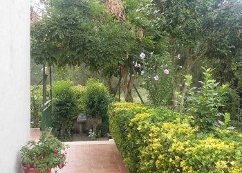 IMG-20220211-WA0015.jpg - Villa San Roberto - foto 8