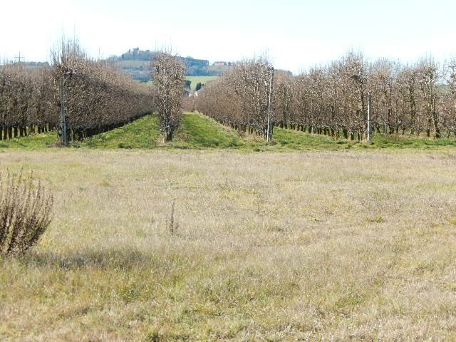 Terreno edificabile Forlì - foto 1