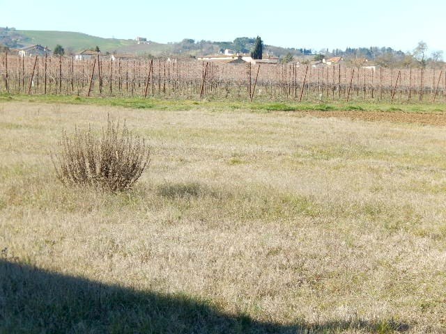 Terreno edificabile Forlì - foto 2